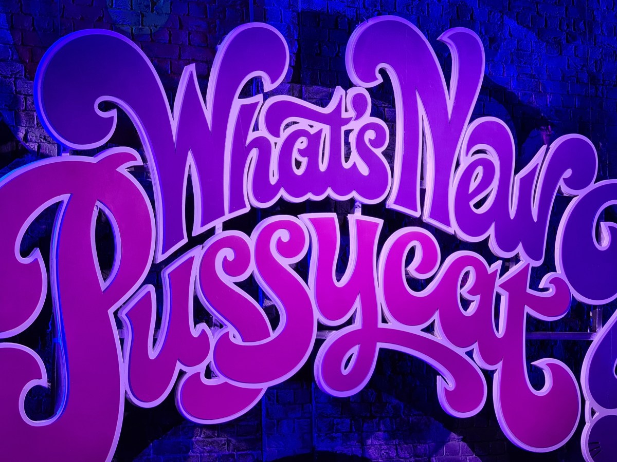 Review: What’s New Pussycat? at the Birmingham&nbsp;Rep